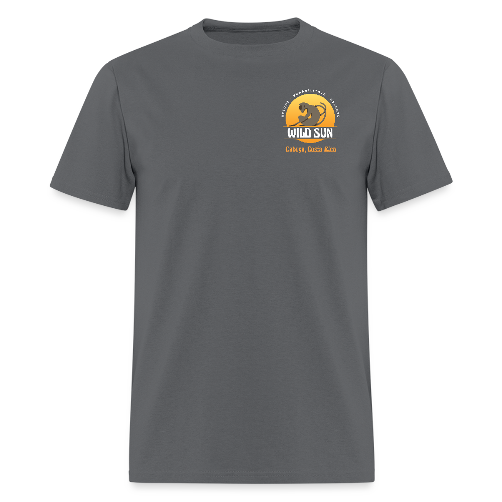 Volunteer 2026 T-Shirt - charcoal