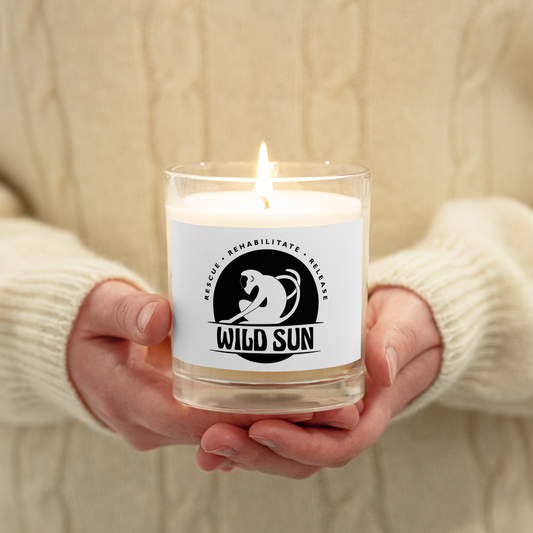 Wild Sun Glass jar soy wax candle Black Logo
